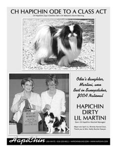 Odie's daughter Martini takes Best In Sweepstakes at the Japenese Club of America National Specialty