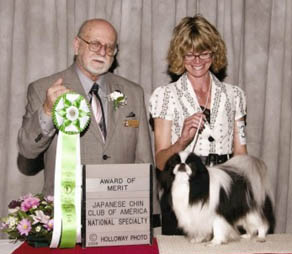 Odie is awarded an Award Of Merit at the Japanese Chin Club of America National Specialty